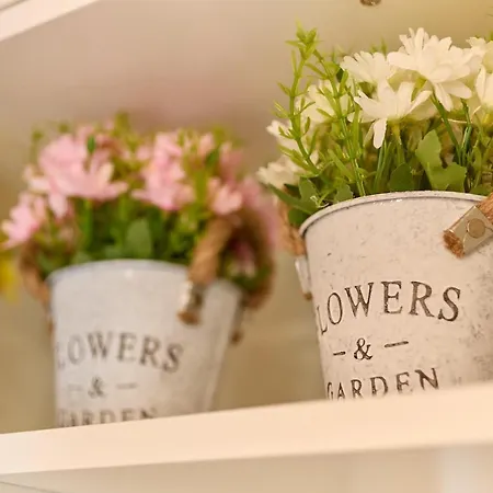 شقة Cozy With A View In *